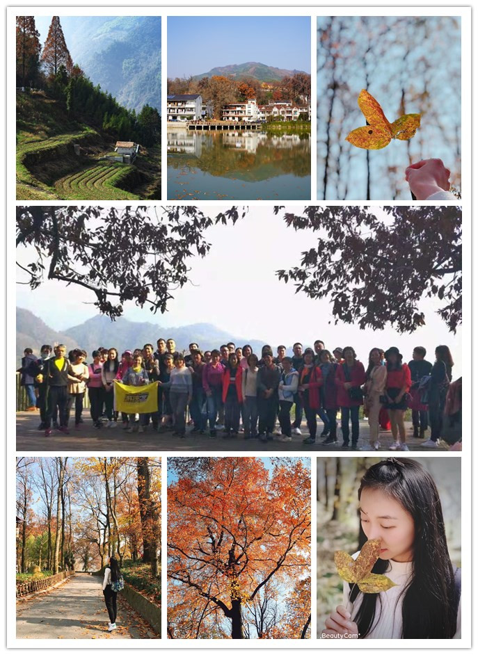 AGCLUB���������г���֯��ָ�ϴ�����˶�