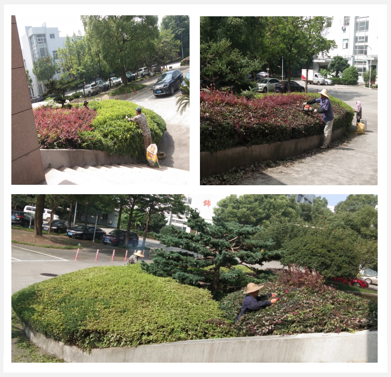 �����̻����������ж�      