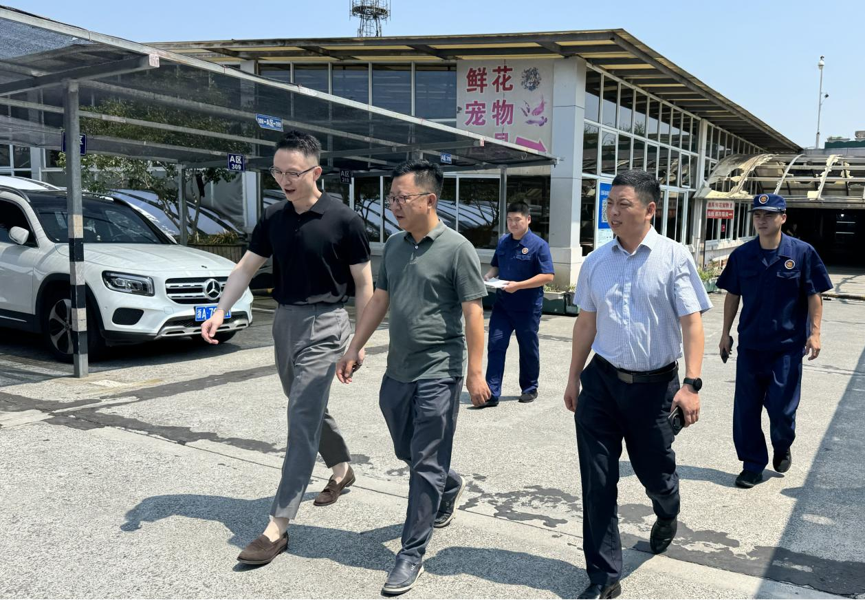 ��ǿ�����Ų飬�����徲����