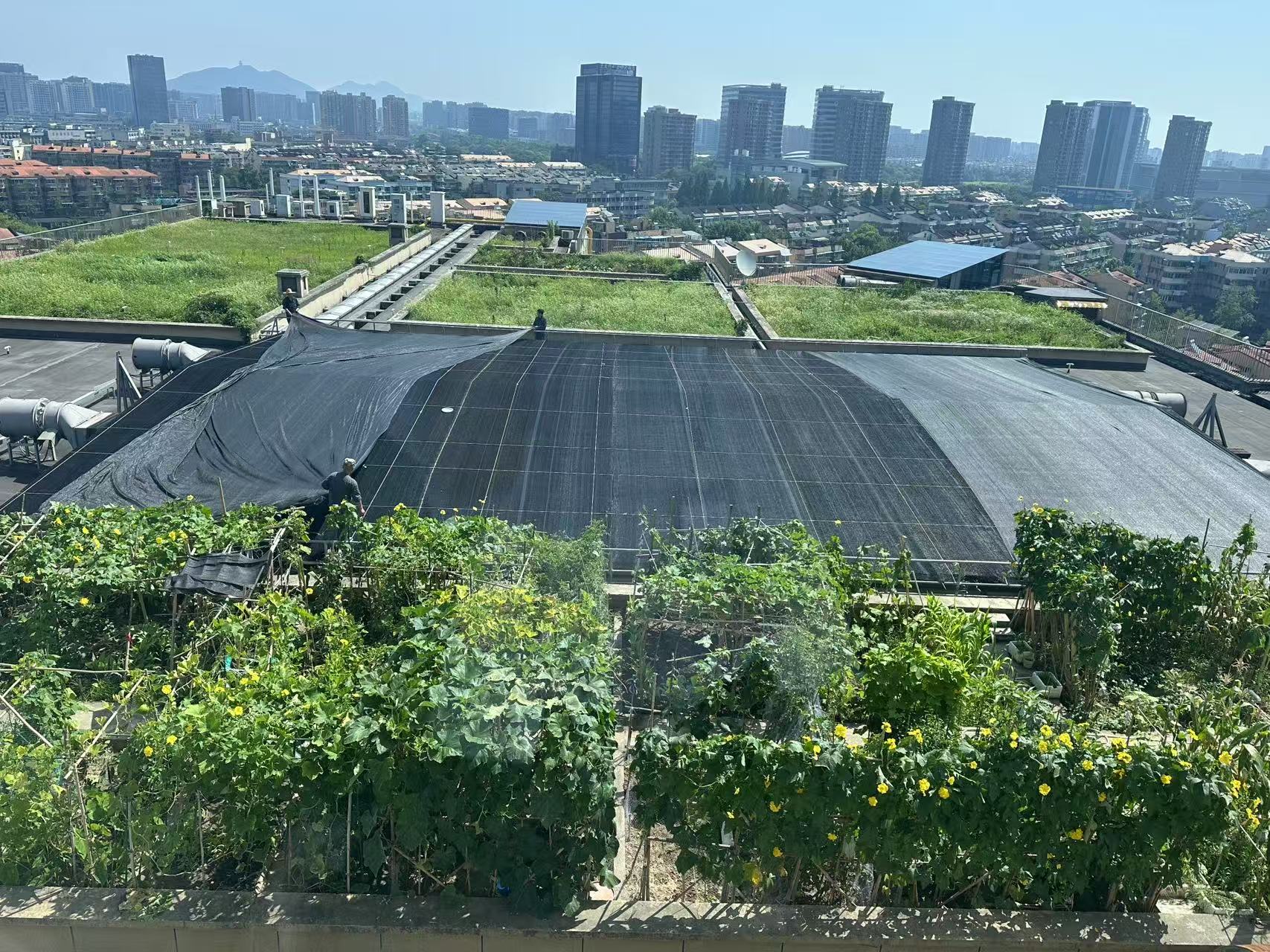 ˮ������ʩ������������Ϊ���ܽ���ע����������