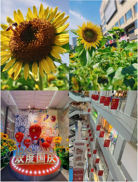 ʢ��������ˮ����ϲӭ����