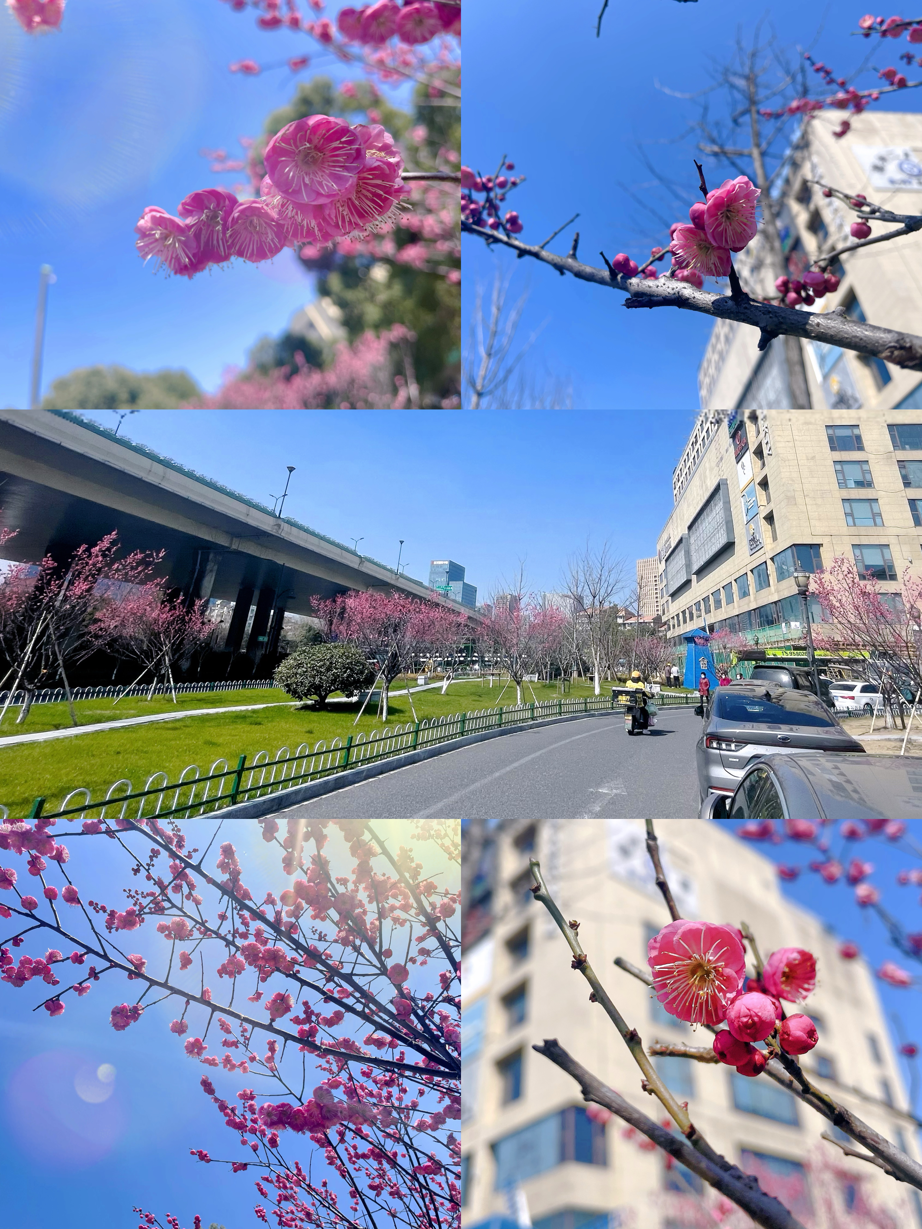 ÷�����Կຮ�����������Ż�����