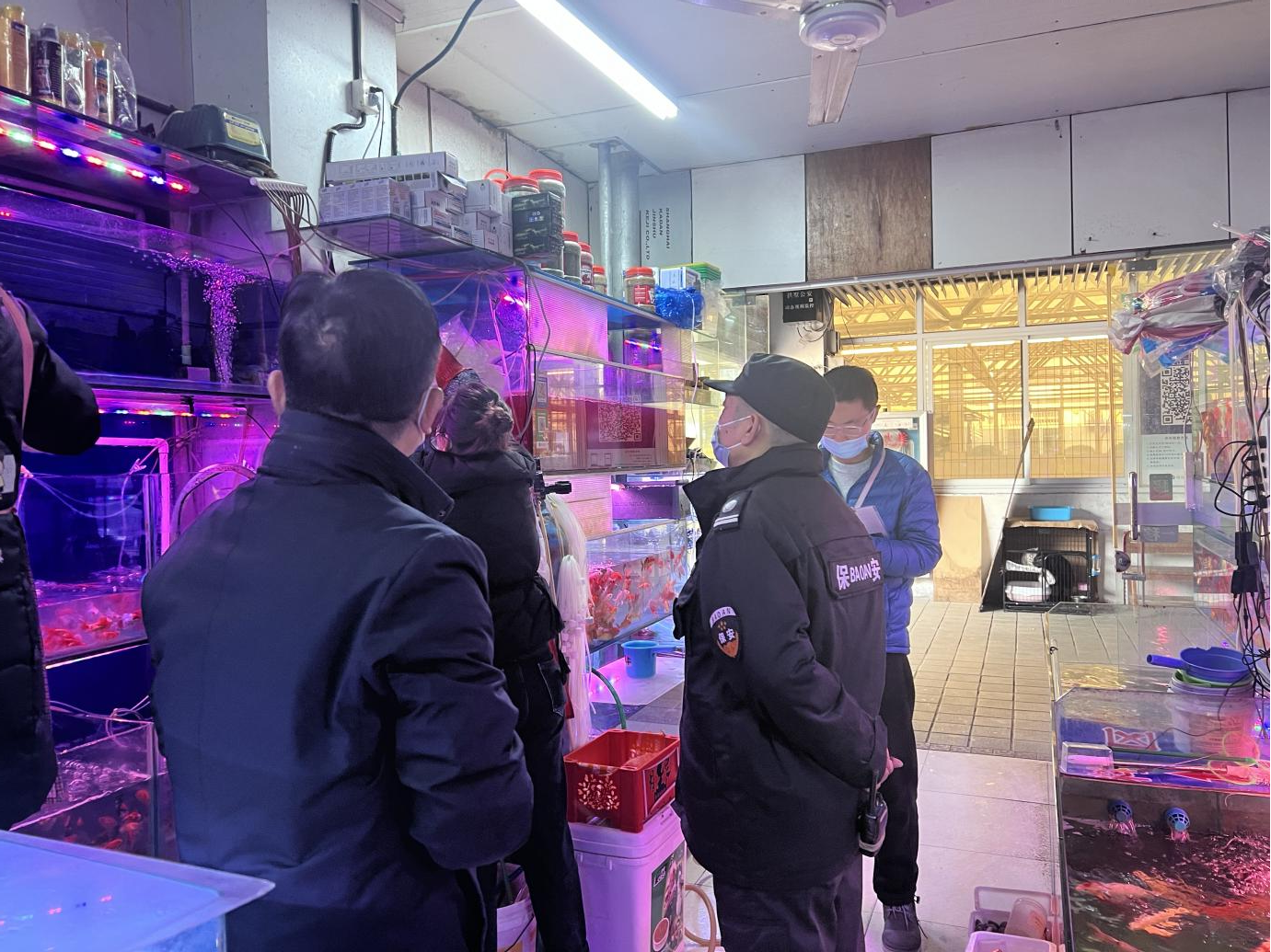 ��ǰ�徲���Ų� ��������ӭ�����ڡ�