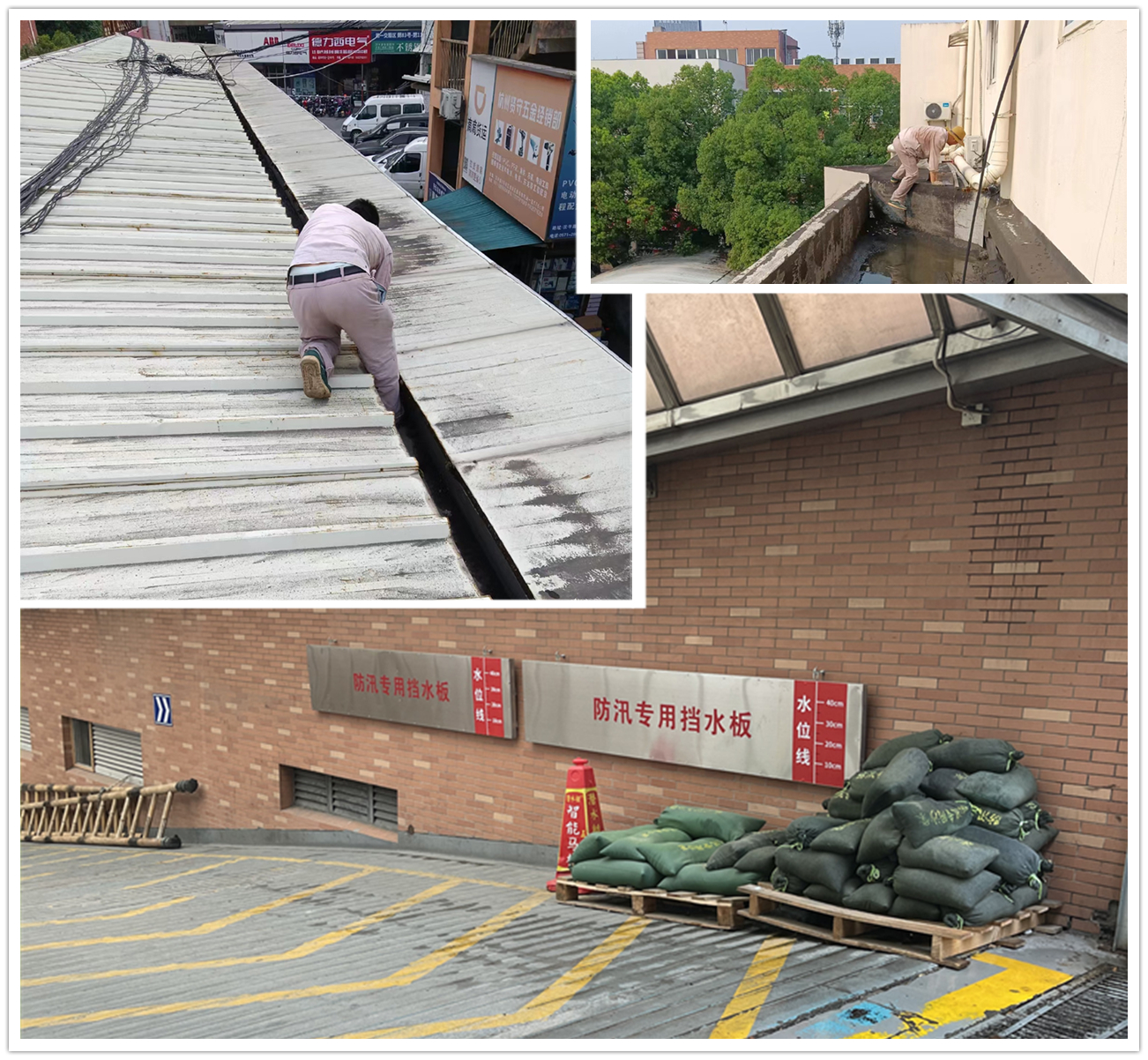 Ӧ��̨�硰÷���� AGCLUB�г����ж�