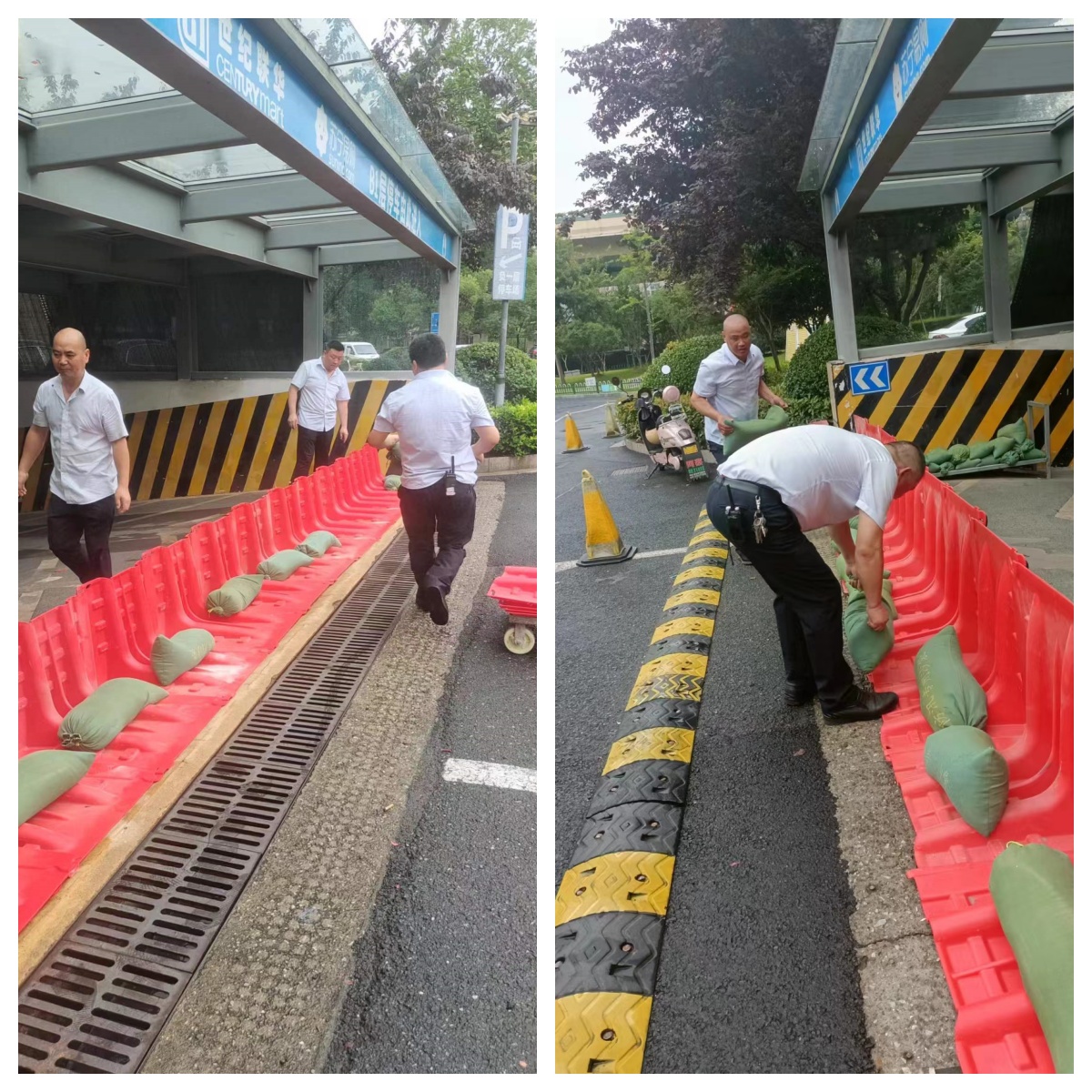 ʵս������ʵЧ��������ѴӦ�����óͷ�����