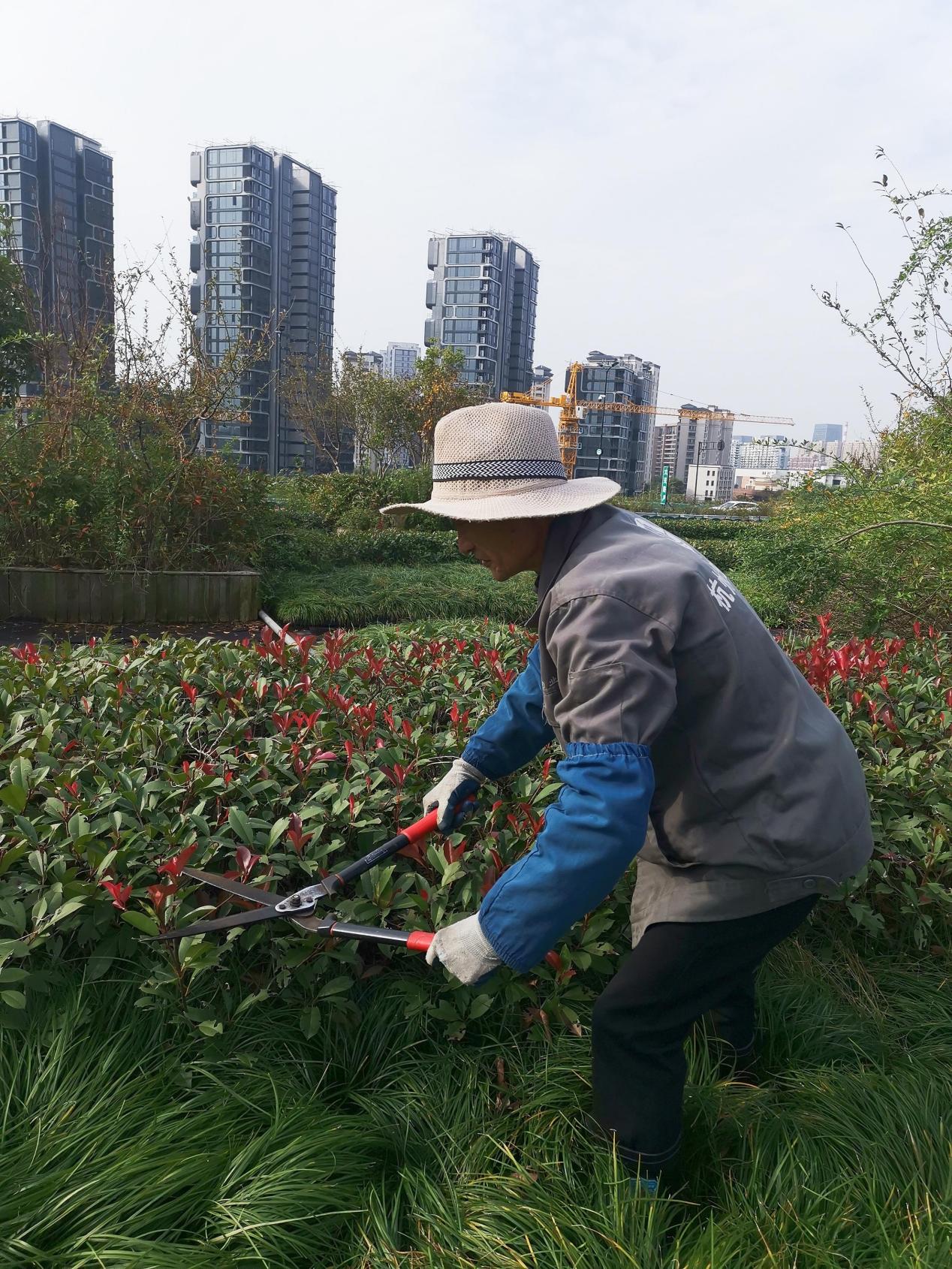 Ǯ���̳ǿ�չ�ݶ���԰ֲ���޼�����